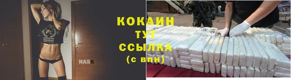 ешки Сосновый Бор