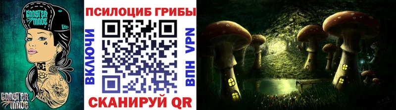 Галлюциногенные грибы Psilocybe  Нижневартовск 